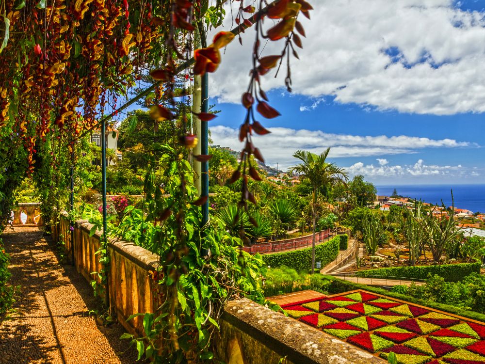 Madeira, Botanical Garden Monte, Funchal, Portugal