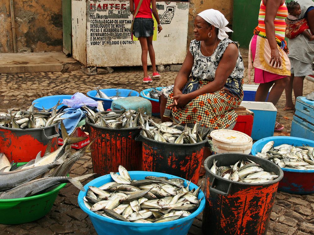 Cap Vert vente poissons