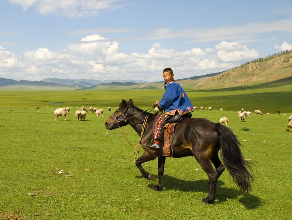 Cavalier mongol