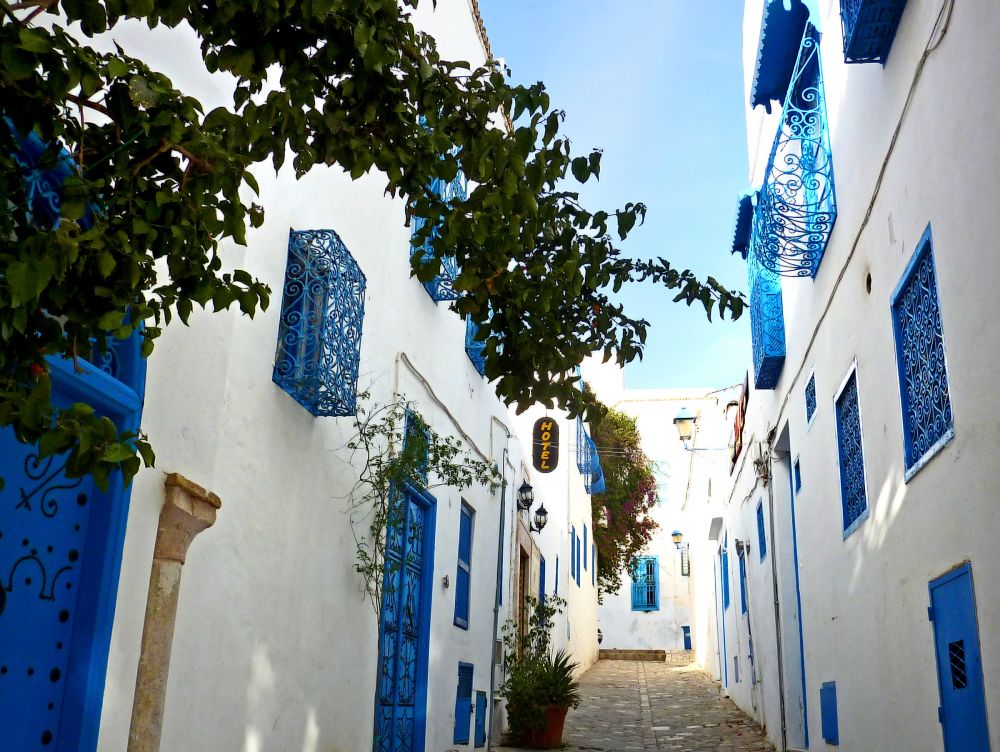 Ruelles de Sidi Bou Said