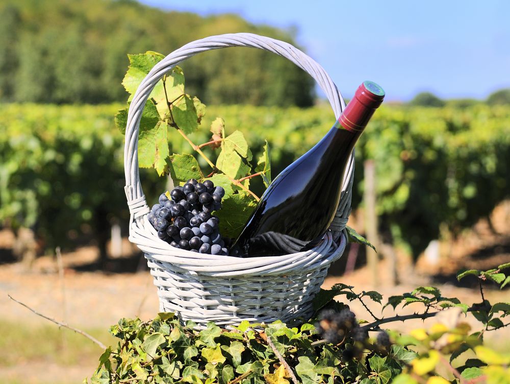 Bottle,Of,Red,Wine,And,Grapes,In,Basket