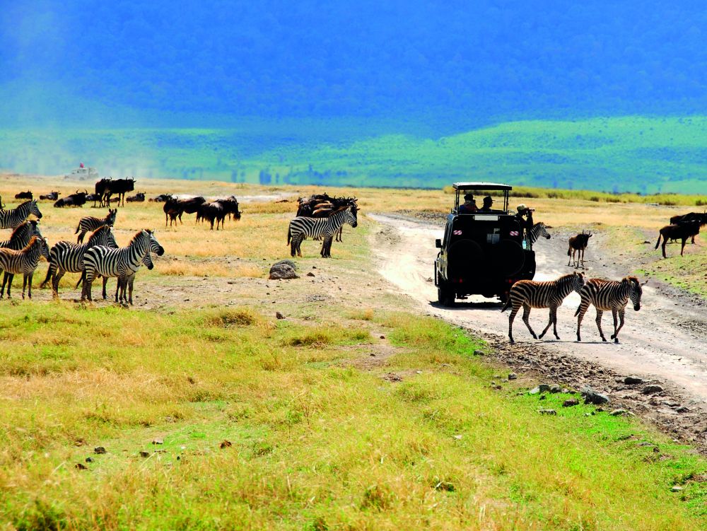 Safari Ngorogoro