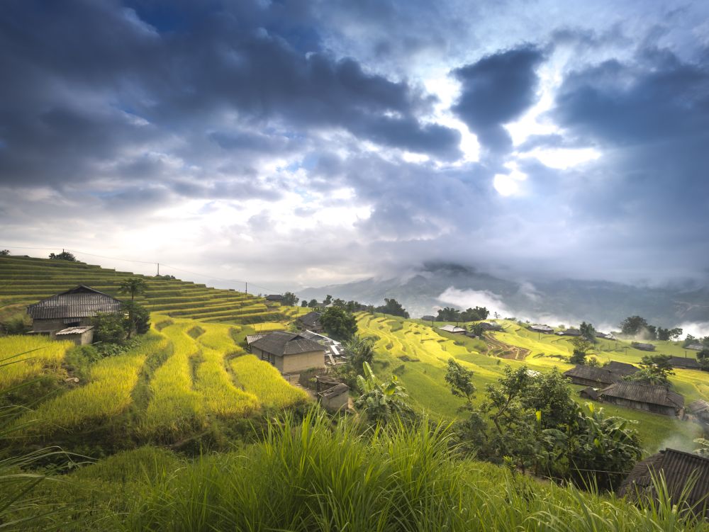 Région de Hoang Su Phi