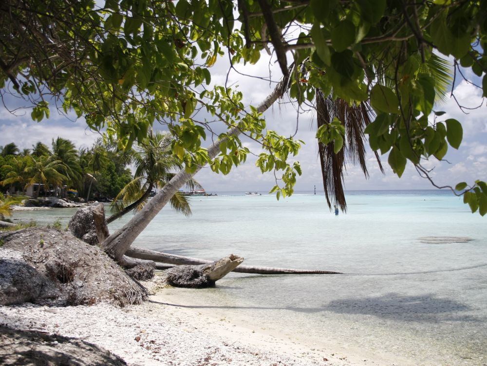 Plage à Rangiroa