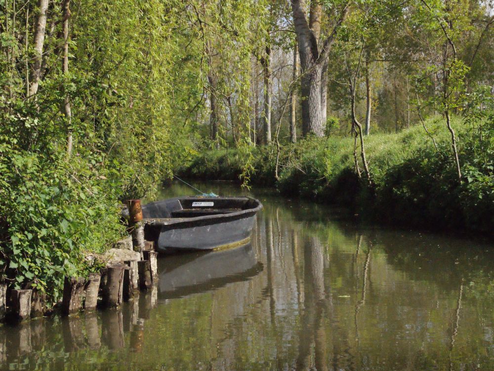 Barque dans les marais de Coulon