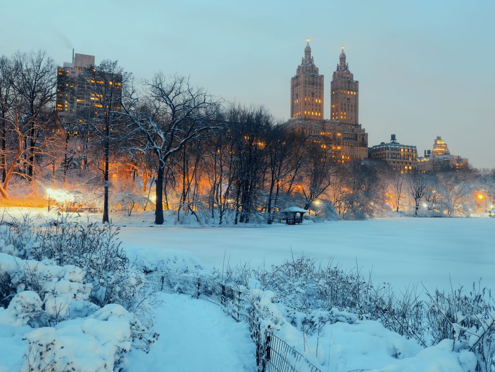 Central Park winter