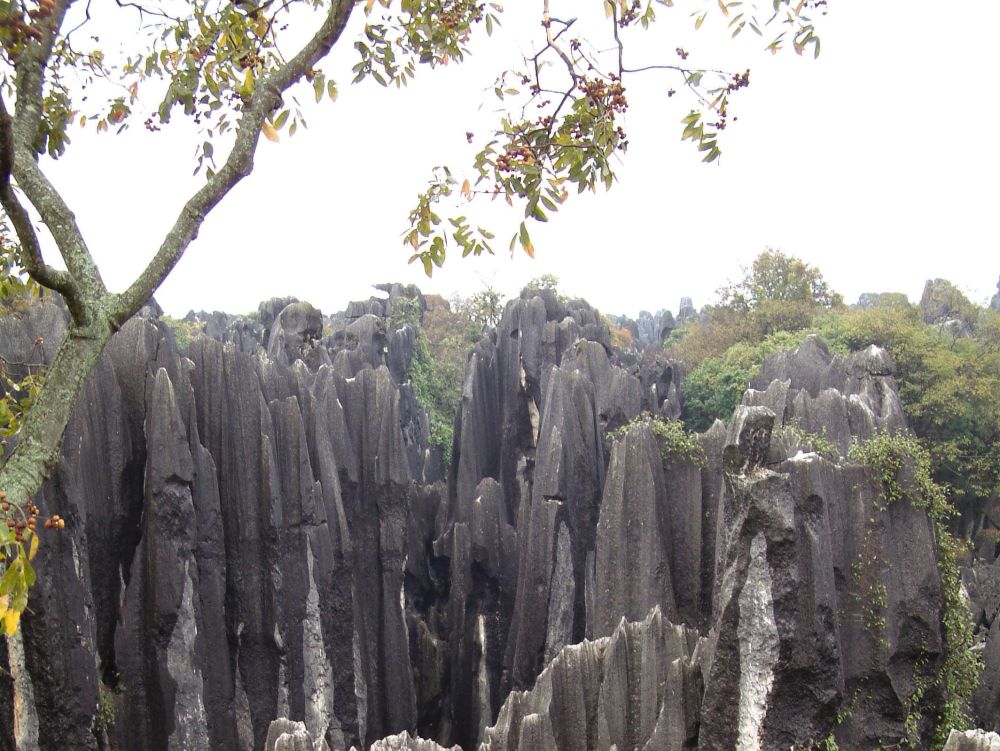 Forêt de pierres - Kunming