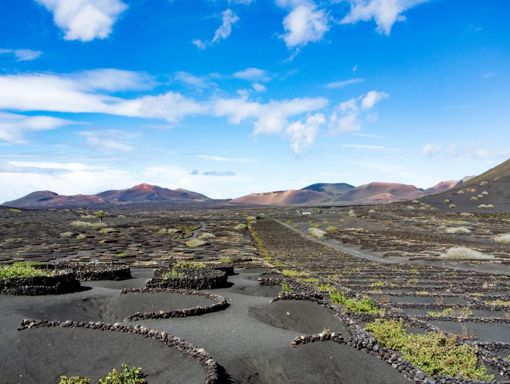 Lanzarote - La Geria