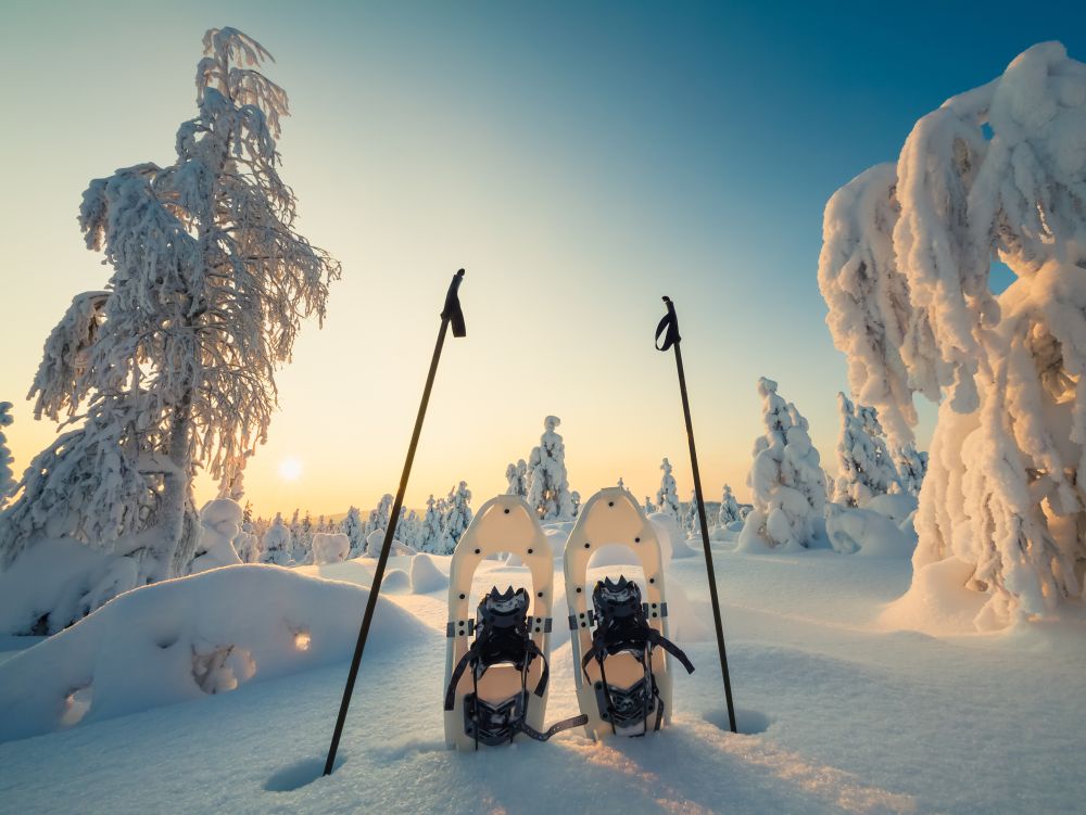 Winter landscape with snow and trees and blue sky