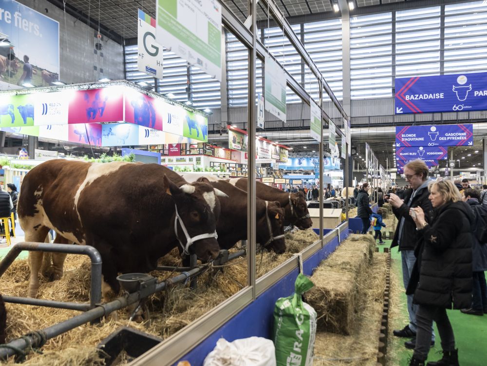 Salon de l'agriculture