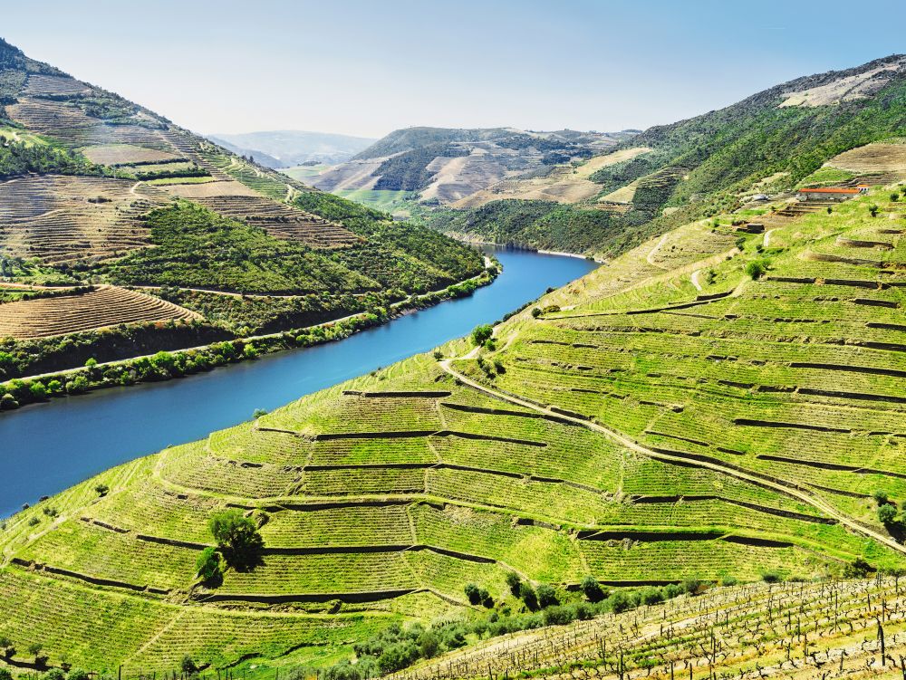 Vallée du Douro