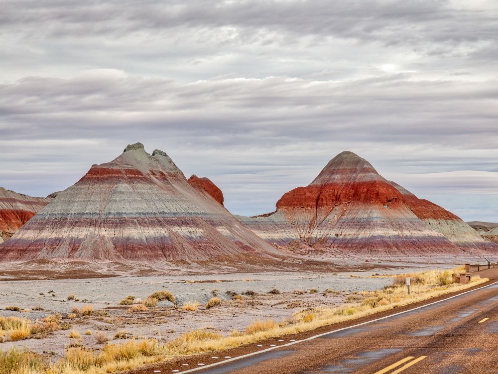 Parc National de Petrified Forest