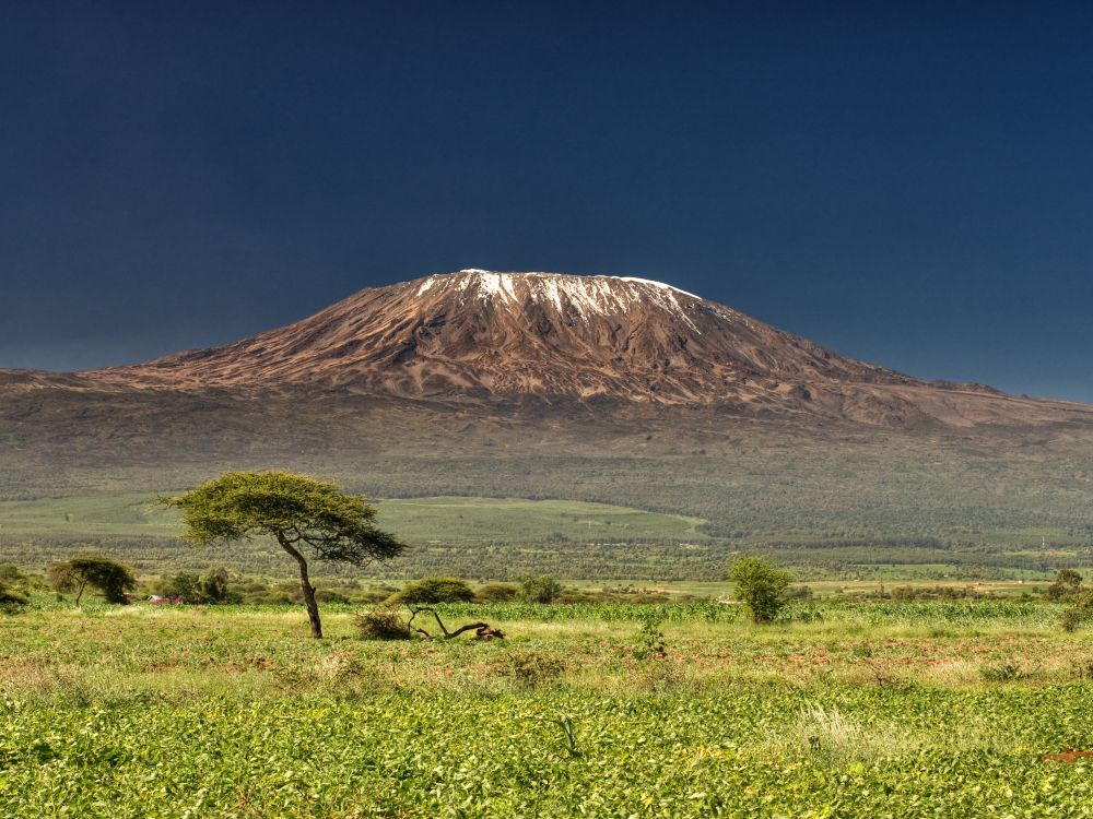 Amboseli National Parc