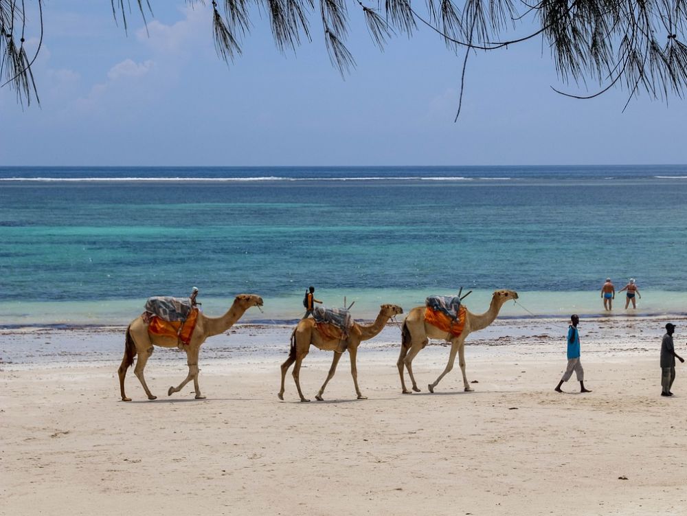 plage diani