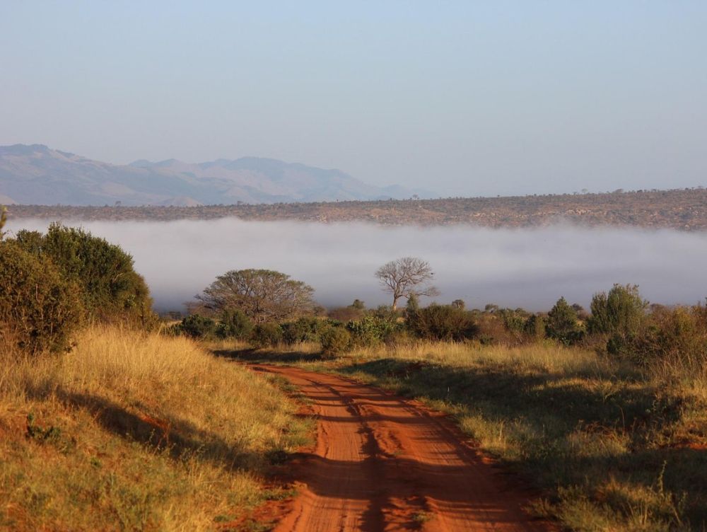 Tsavo