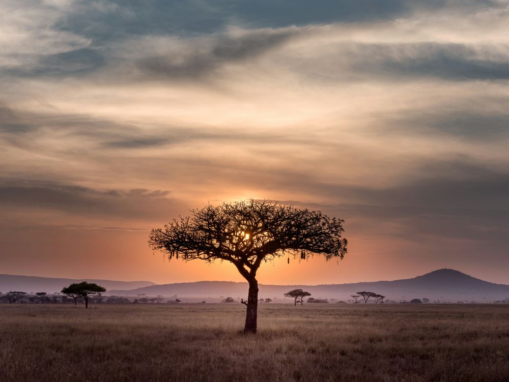 couché de soleil