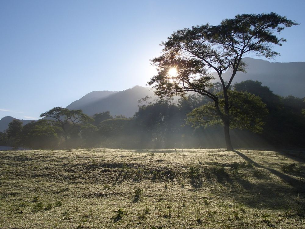 Ngorongoro