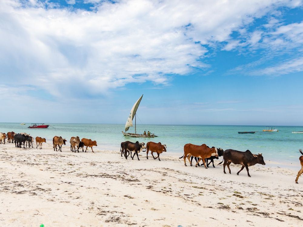 Zanzibar