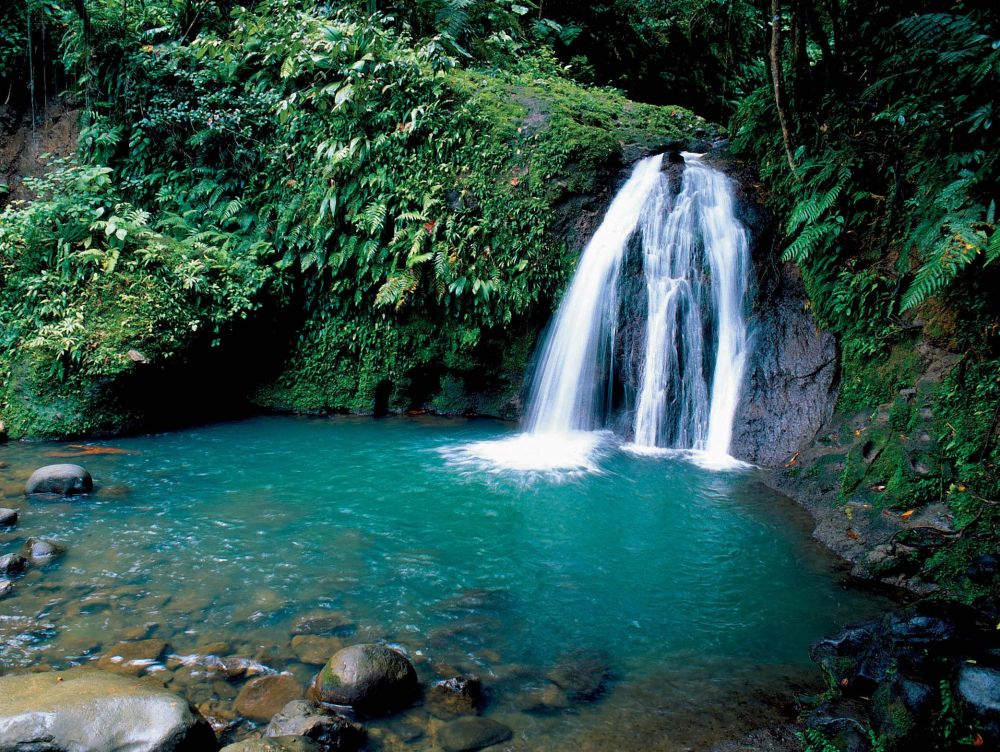 La cascade aux écrevisses