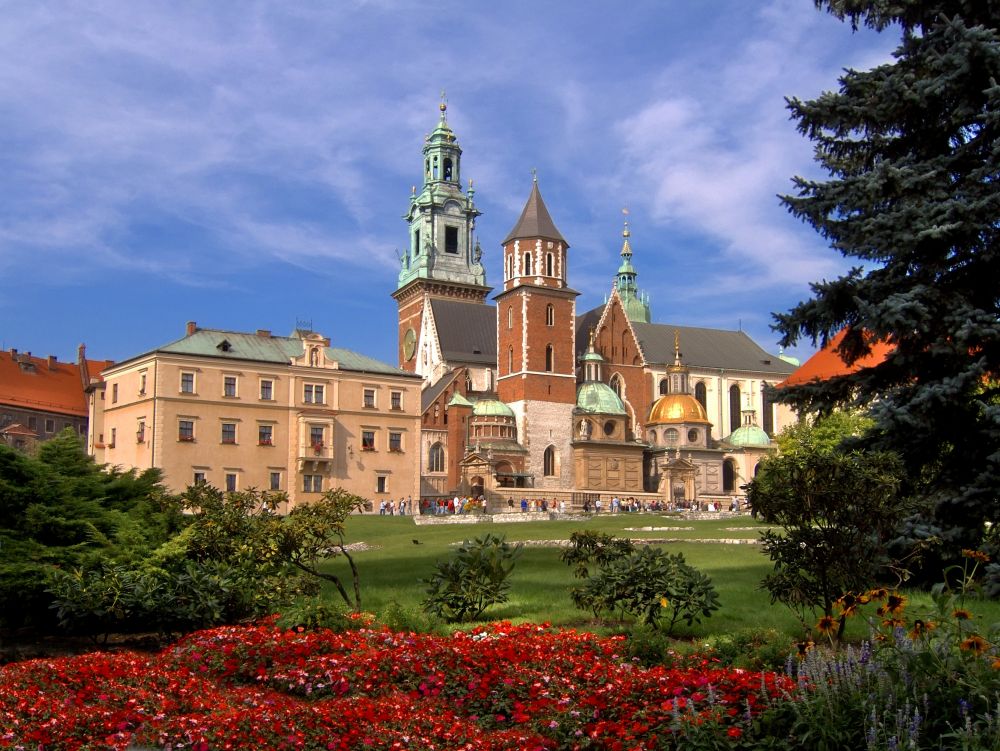 Cracovie : château Wawel