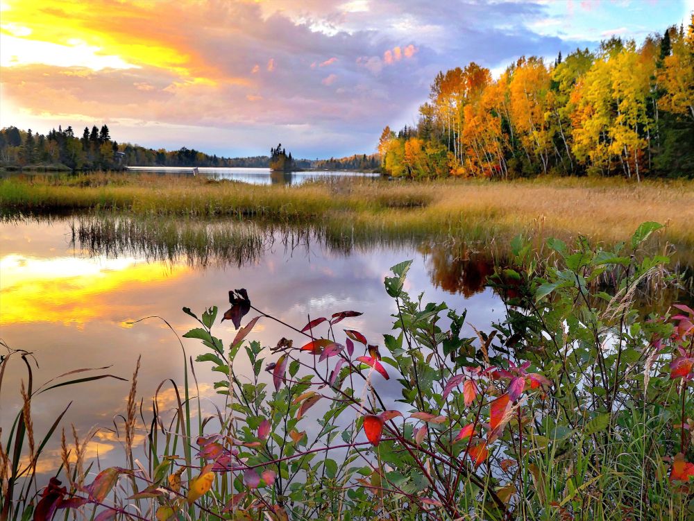 paysage Québec 3