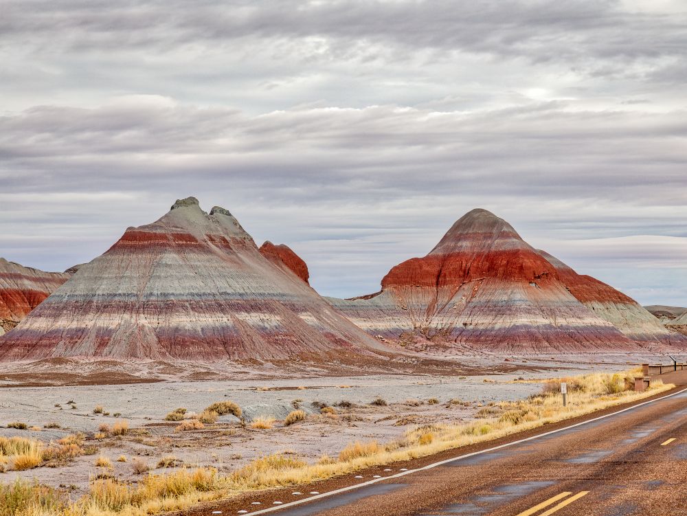 Parc National de Petrified Forest (AZ)