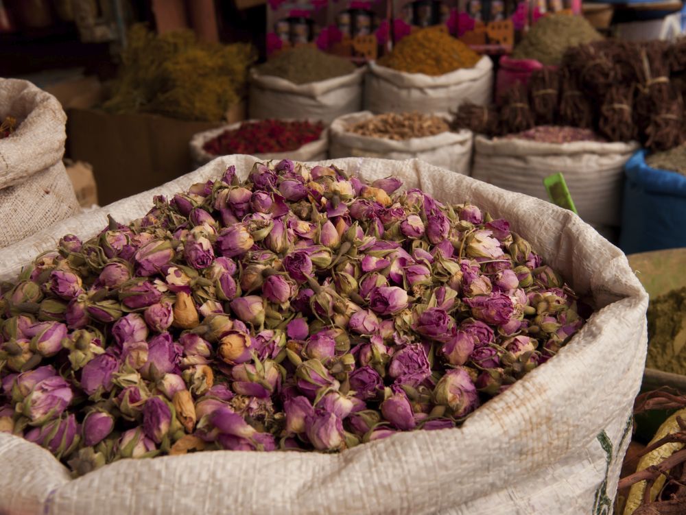 Epices et plantes