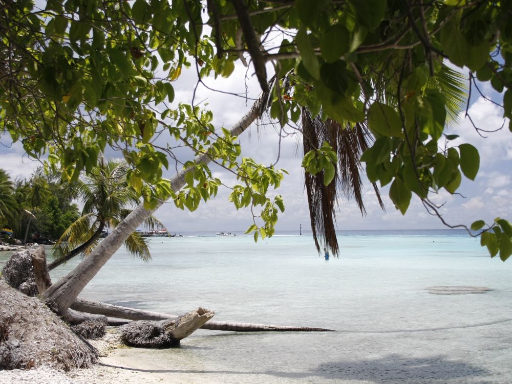 Rangiroa - plage