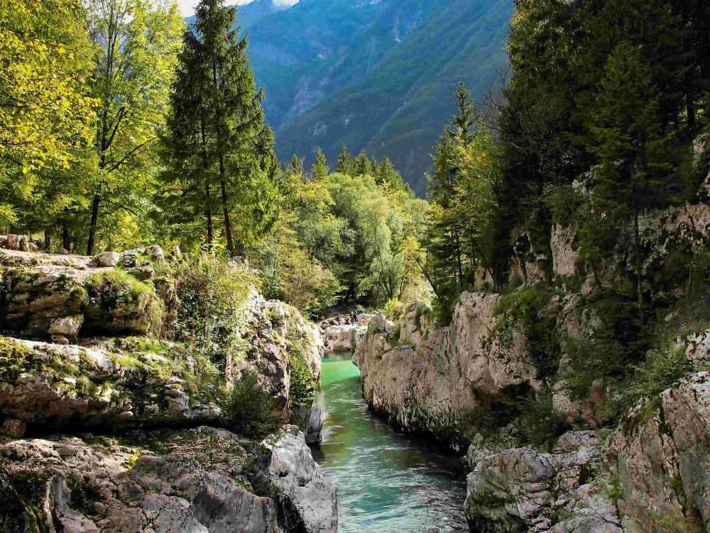 Rivière de la Soca