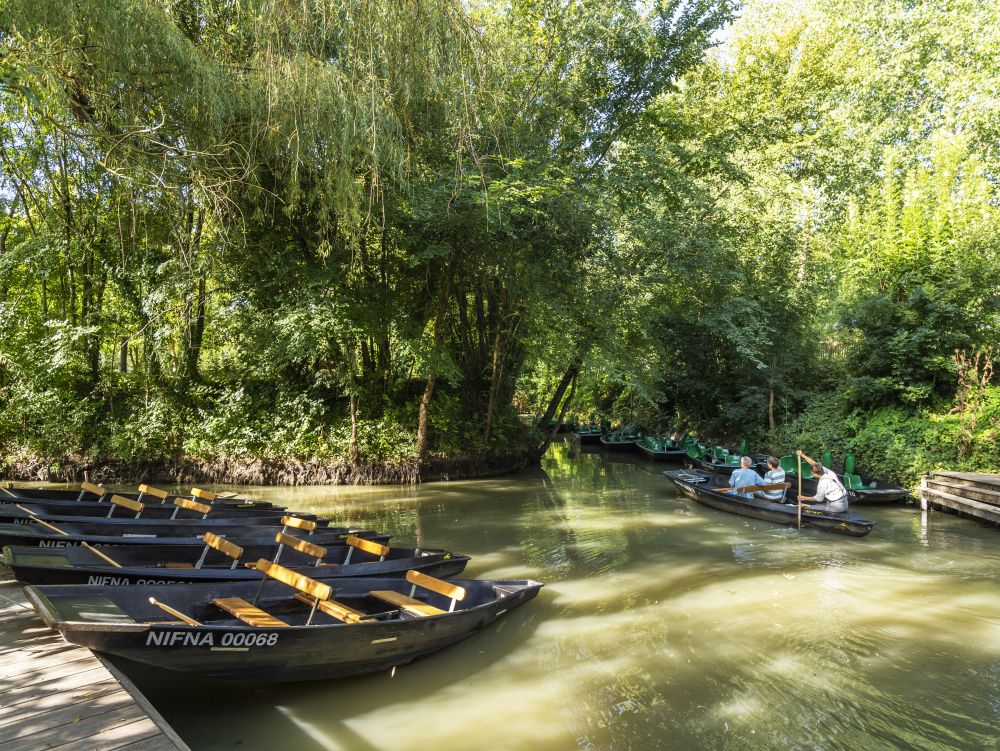 Marais Poitevin