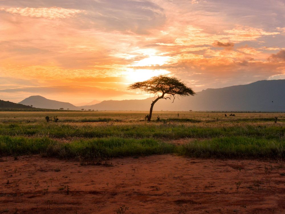 Parc National Tsavo