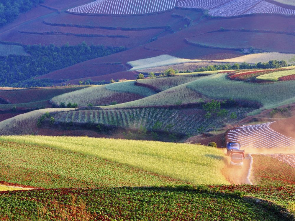 Paysage Rural Yunnan