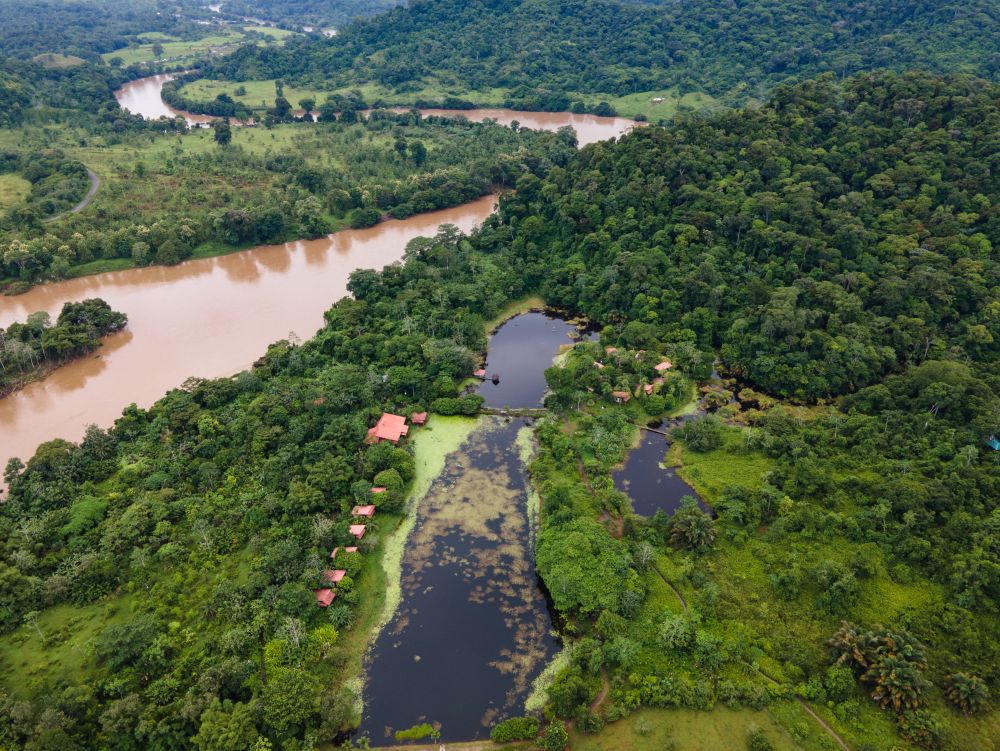 Beautiful aerial view of the river surrounded by green forest. Boca Tapada, Costa Rica.