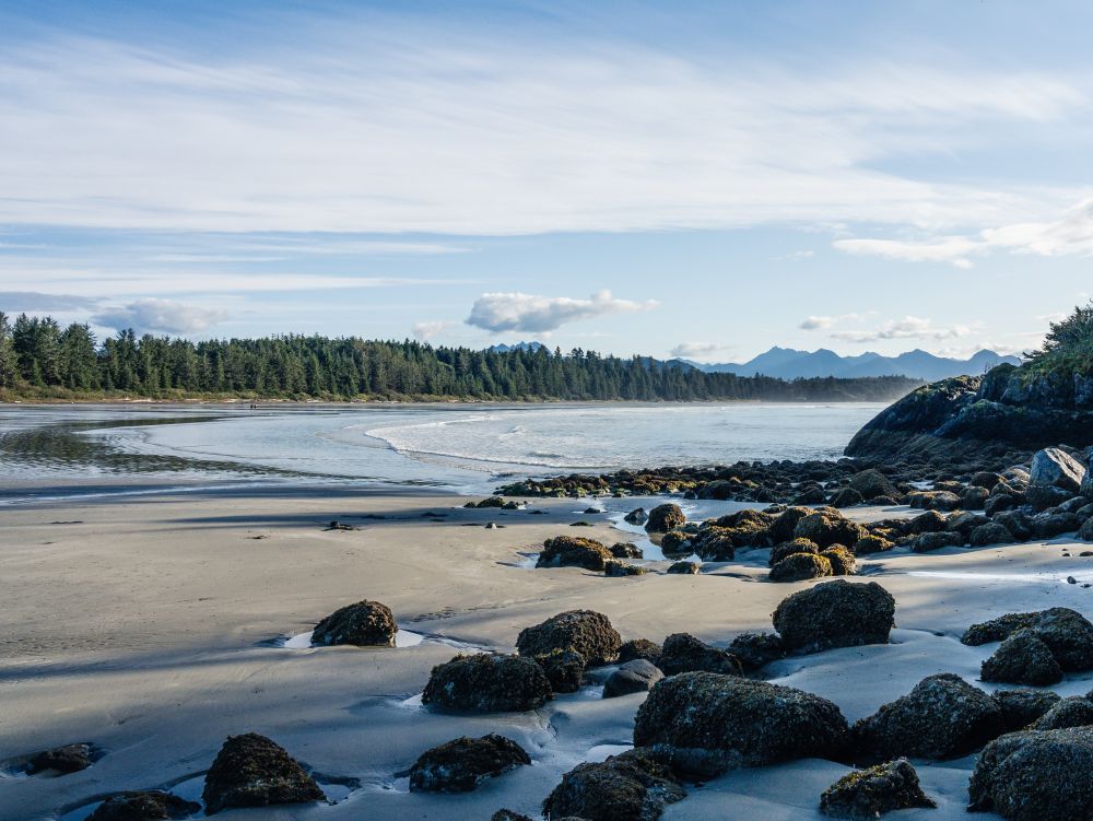 Tofino beach