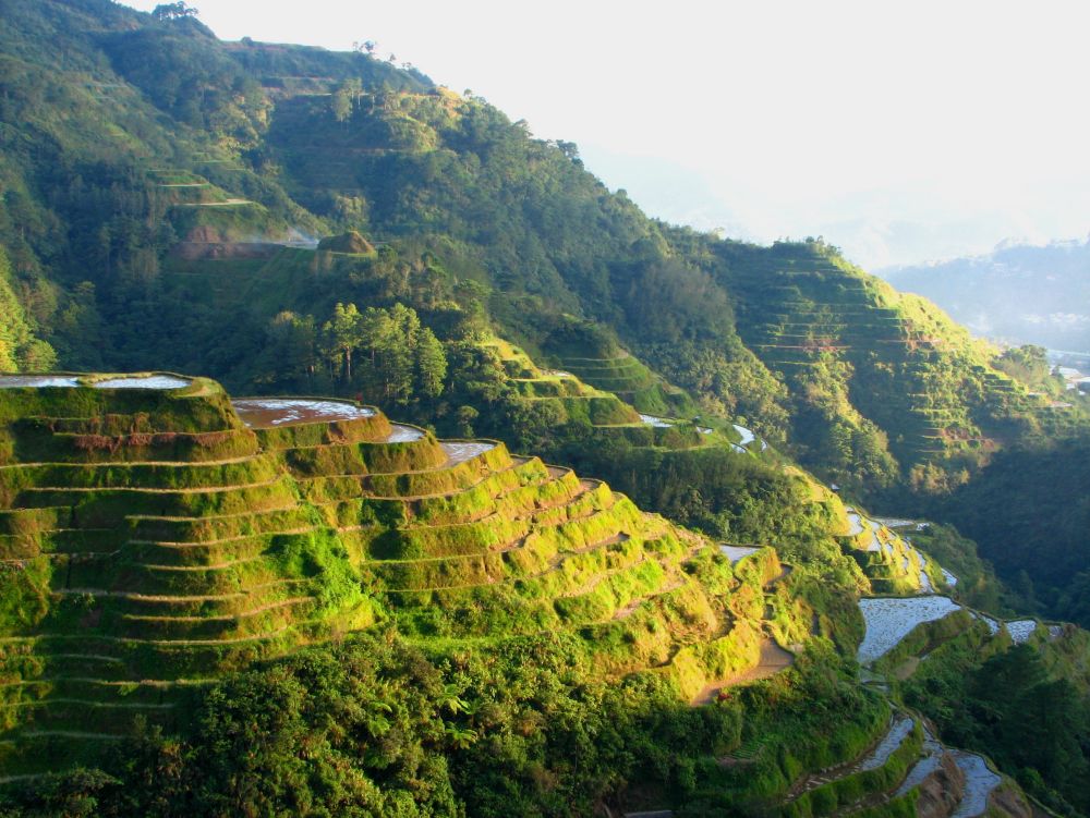 Rizières Banaue