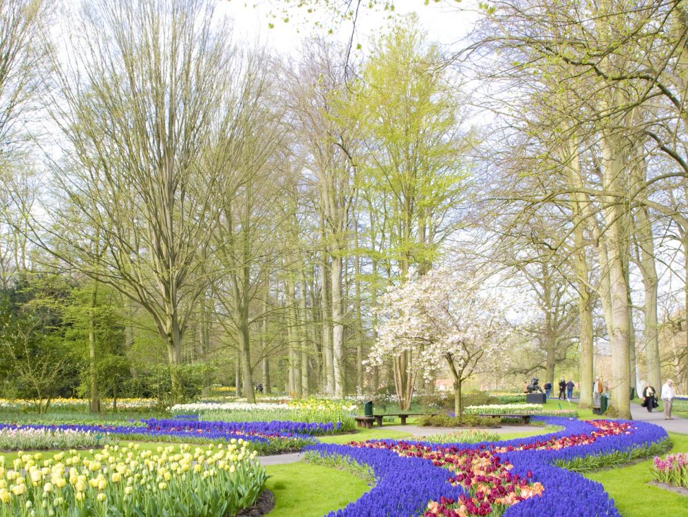 Parc floral de Keukenhof