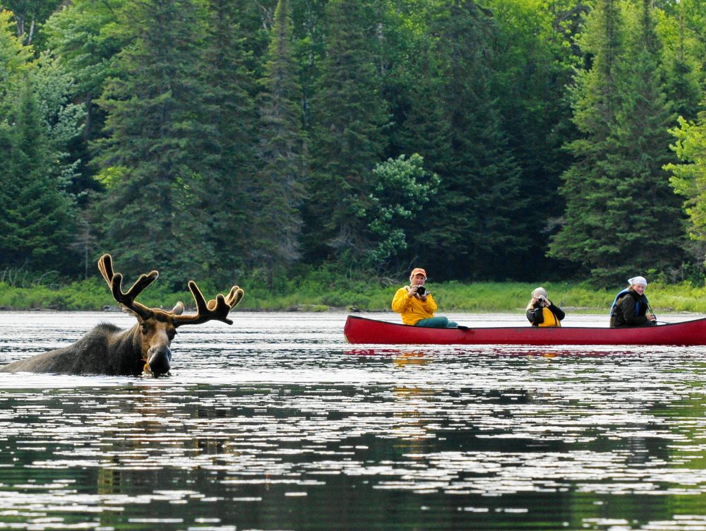 Nature Canadienne