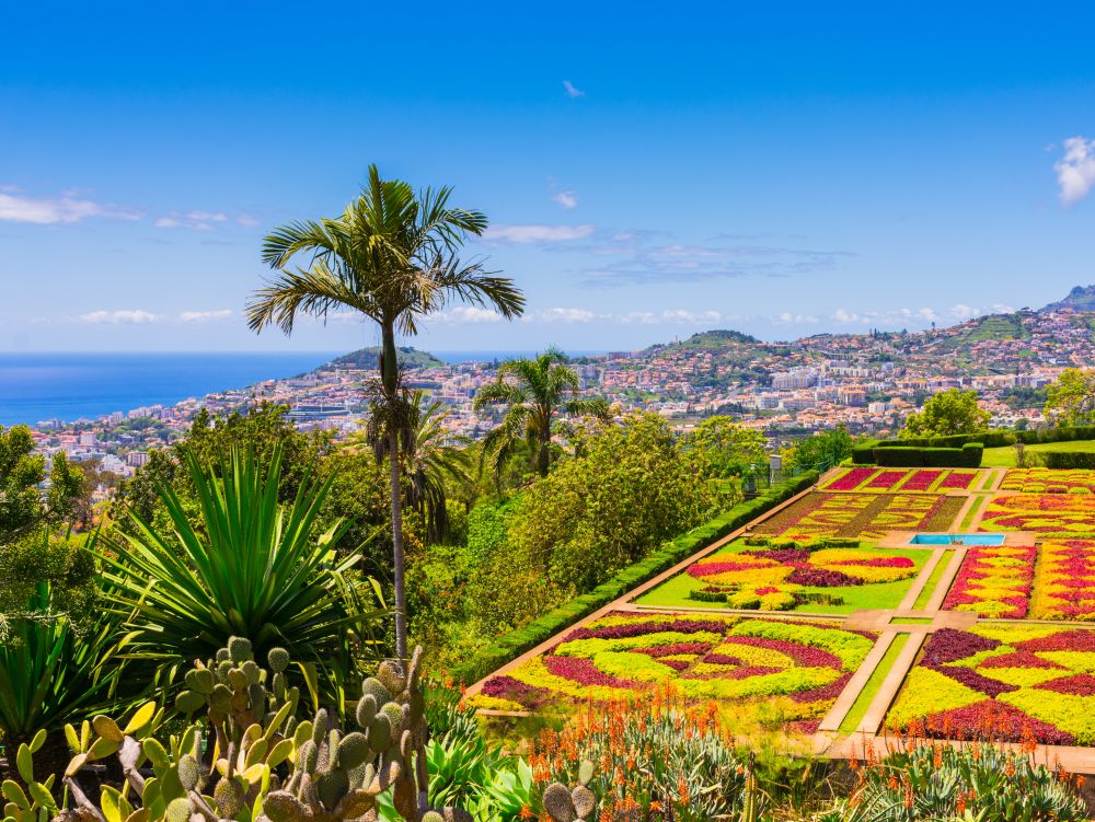Botanical garden in Funchal, Madeira island, Portugal
