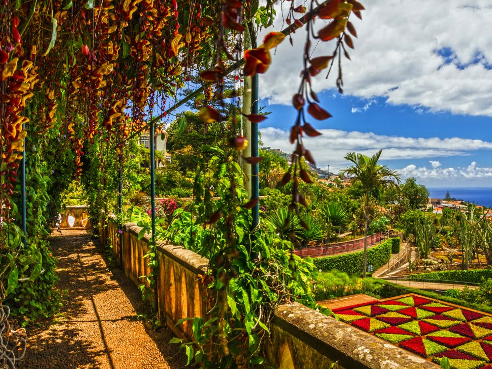 Madeira, Botanical Garden Monte, Funchal, Portugal