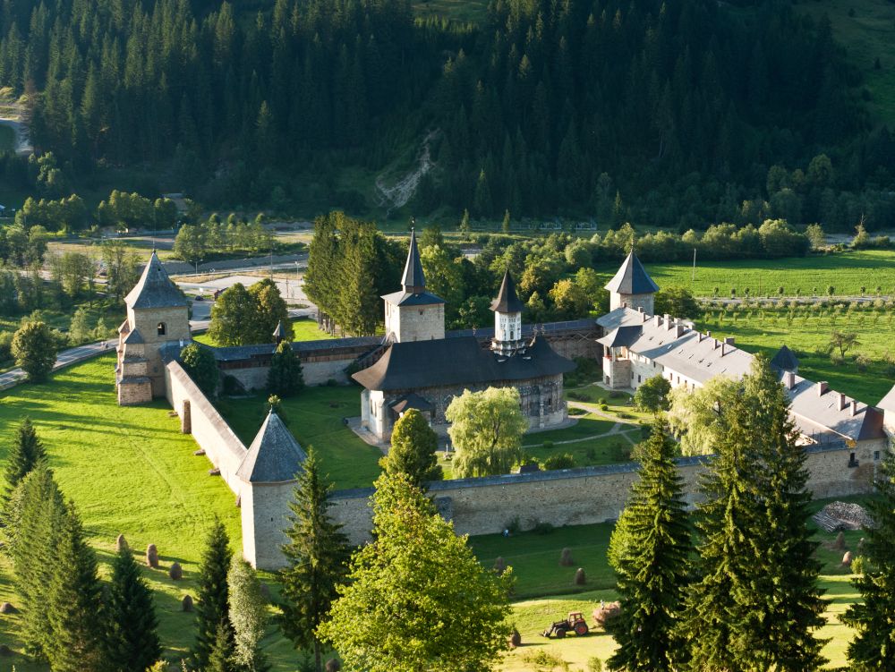 Sucevita