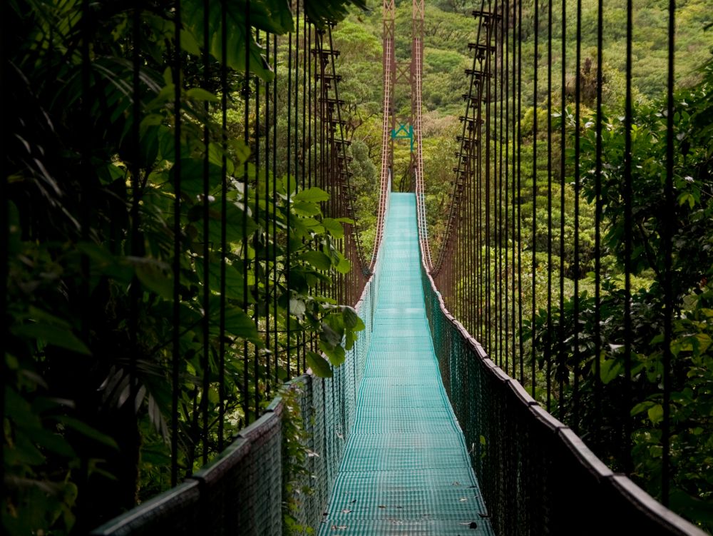 Pont dans la jungle costa ricaine