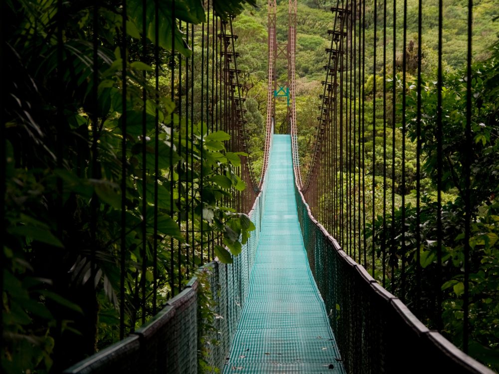 Pont dans la jungle costaricaine