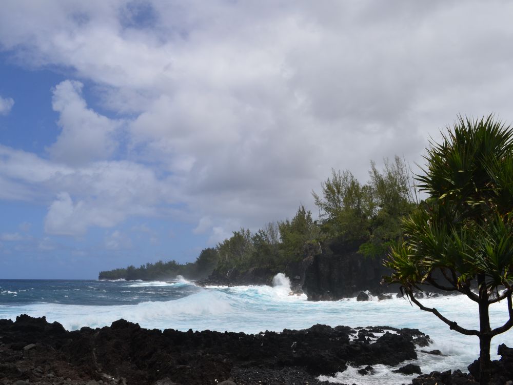 La Réunion Côte sud-est