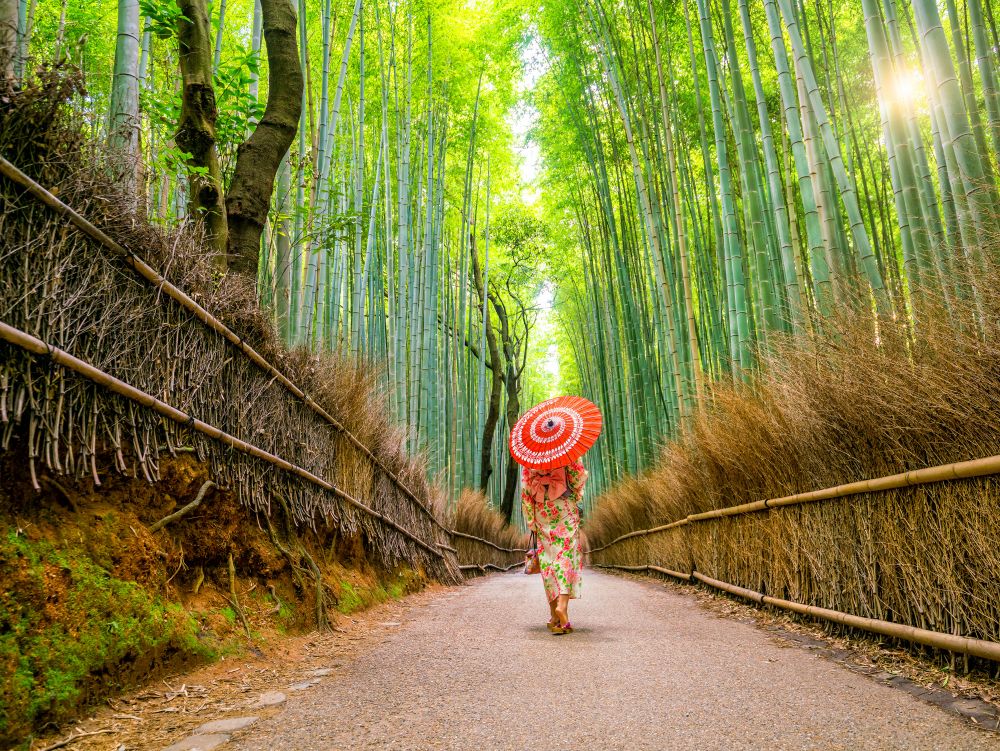 Woman in traditional Yukata with red umbrella at bamboo forest of Arashiyama in Kyoto, Japan