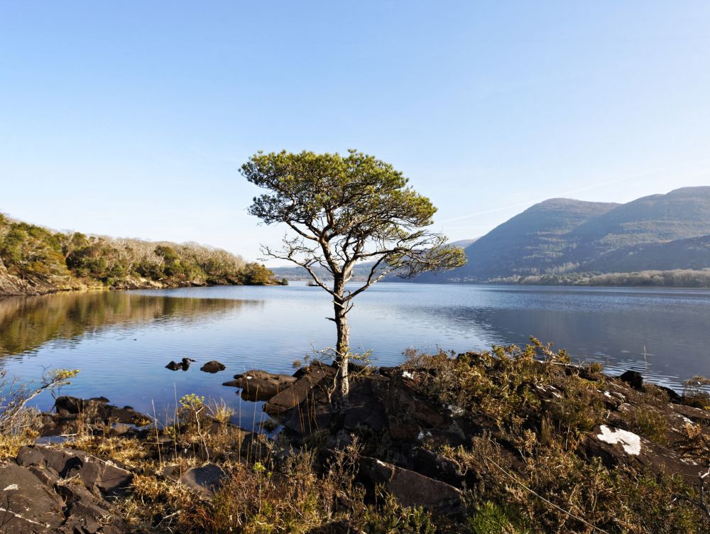 Killarney national park, Kerry