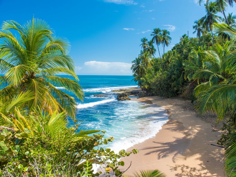 Wild caribbean beach of Manzanillo at Puerto Viejo, Costa Rica