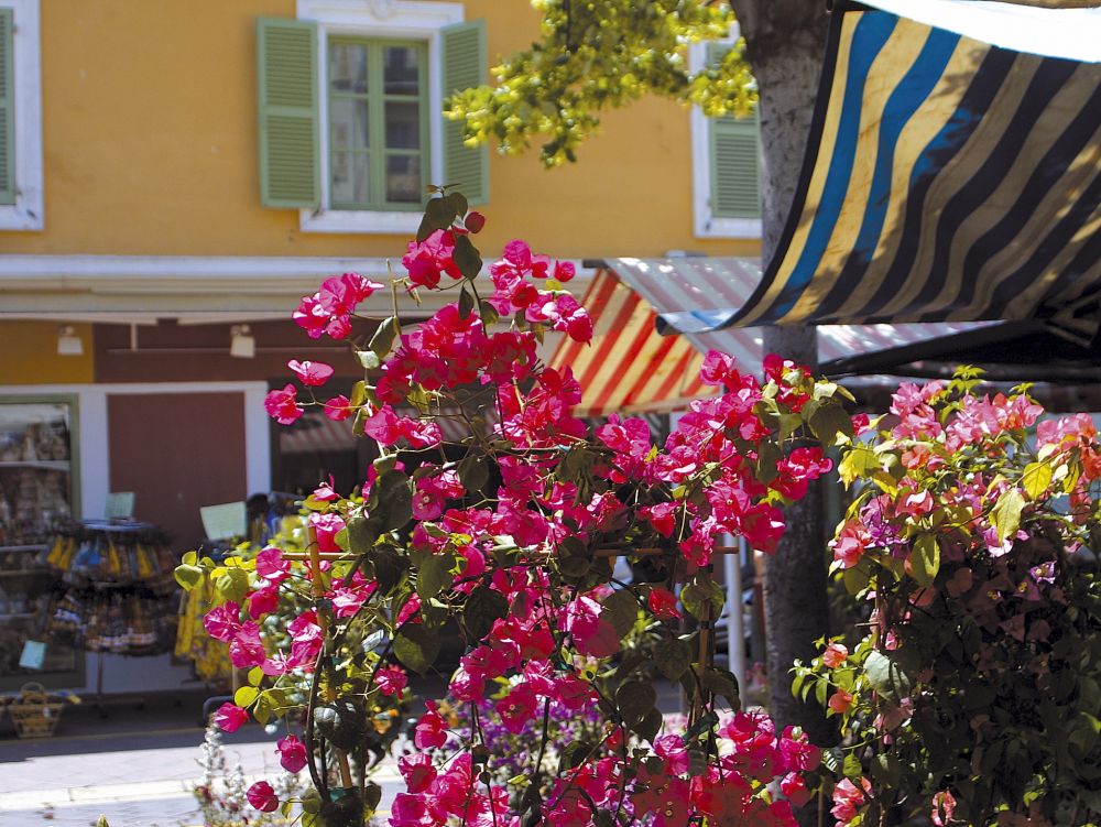 Marché aux fleurs de Nice