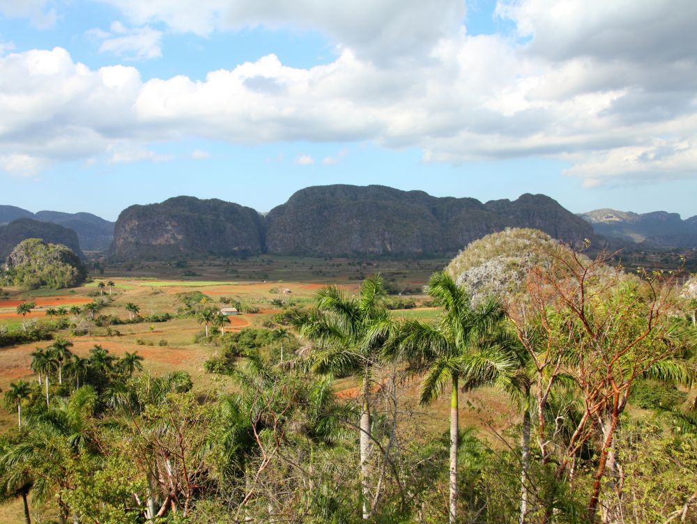 Parc National Viñales