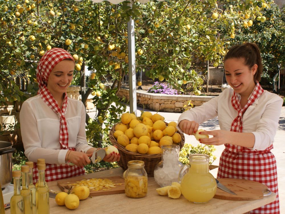 Fabrication de Limoncello