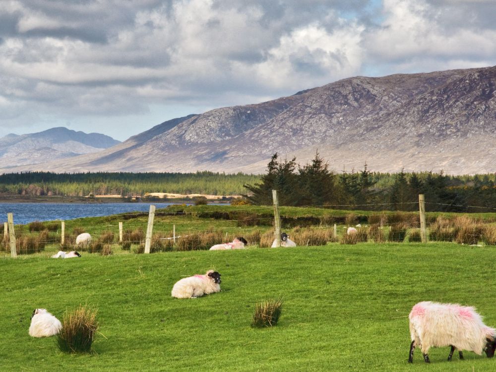 Connemara